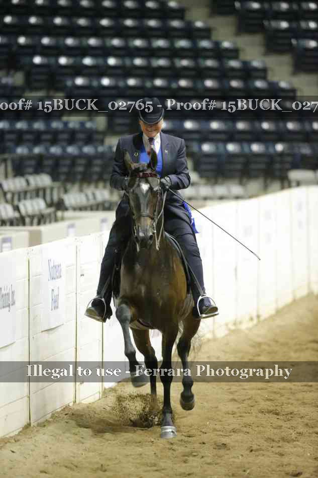 Proof 15BUCK_02765