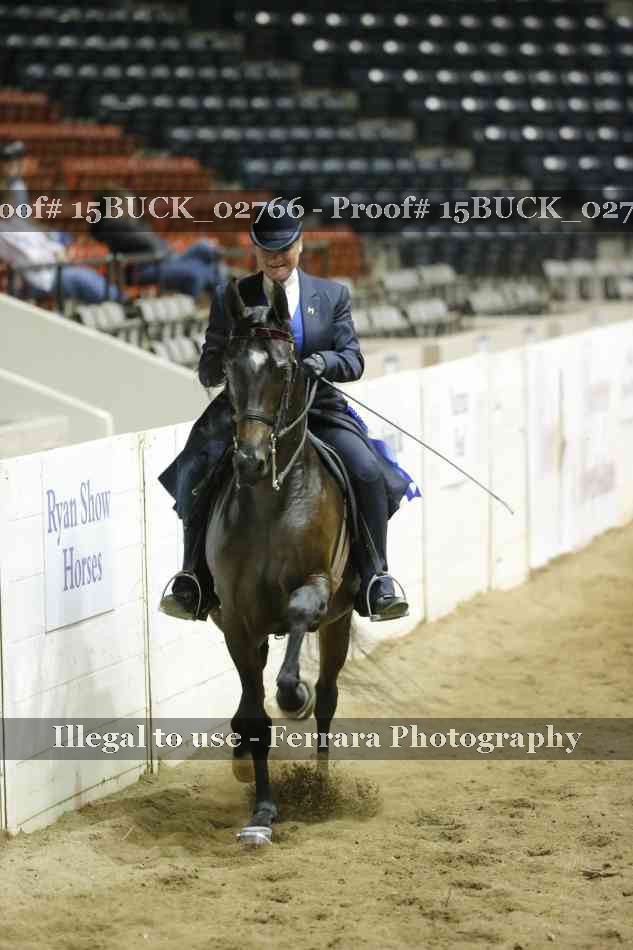 Proof 15BUCK_02766