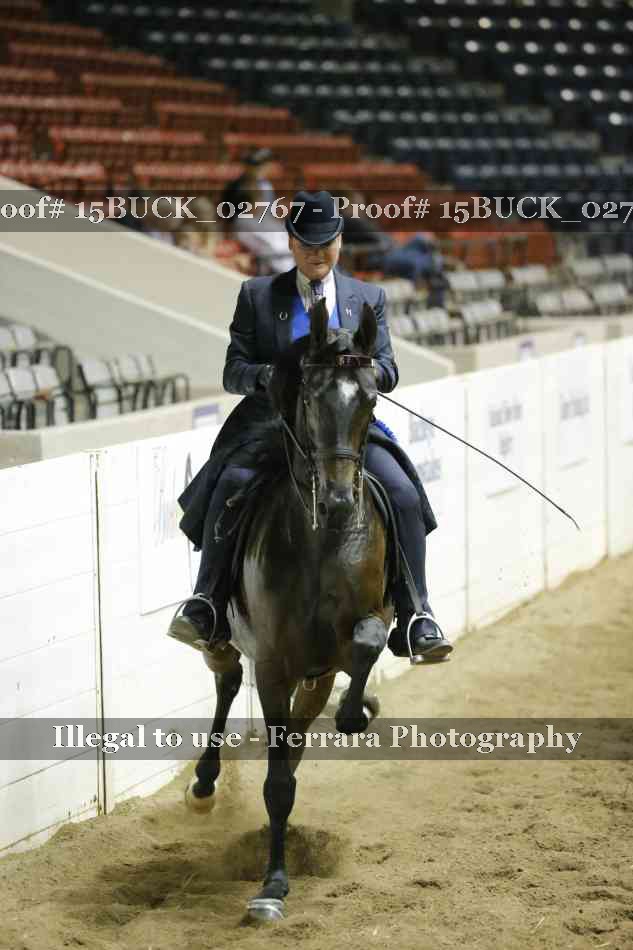 Proof 15BUCK_02767