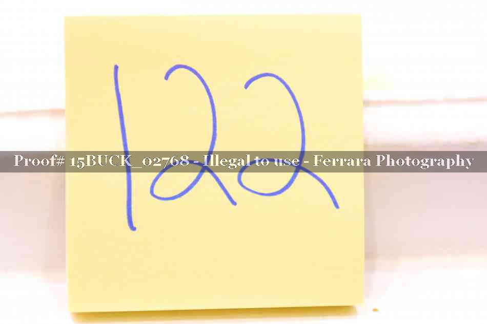 Proof 15BUCK_02768