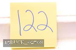 15BUCK_02768 proof
