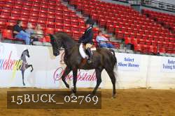 15BUCK_02769 proof