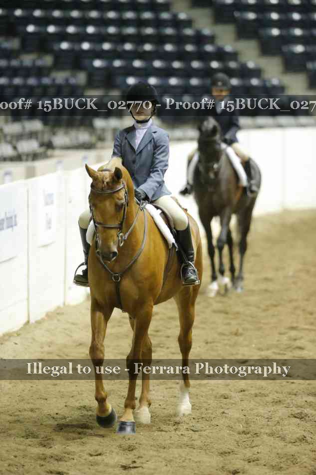 Proof 15BUCK_02770