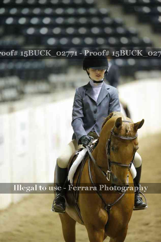 Proof 15BUCK_02771