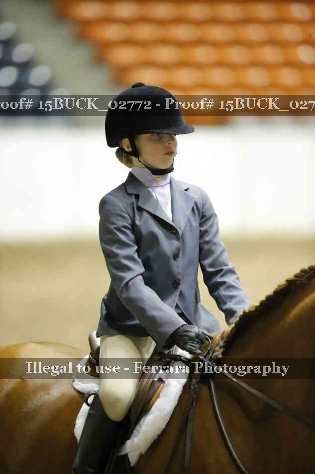 Proof 15BUCK_02772