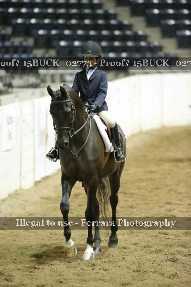 Proof 15BUCK_02773