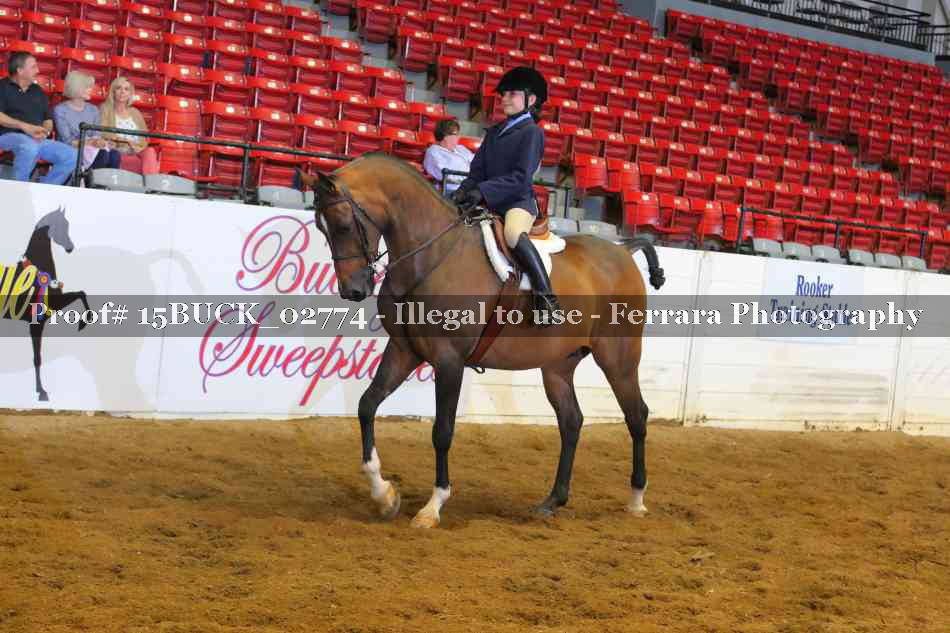 Proof 15BUCK_02774