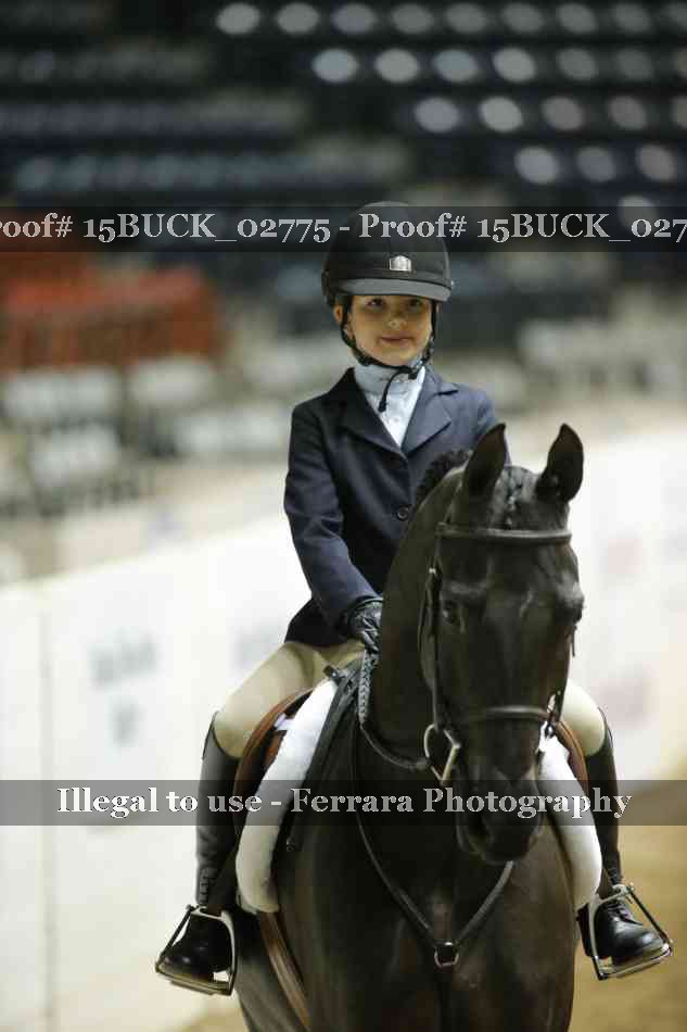 Proof 15BUCK_02775