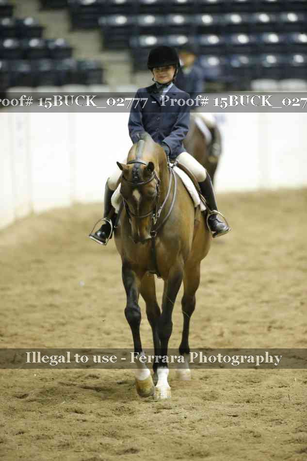 Proof 15BUCK_02777