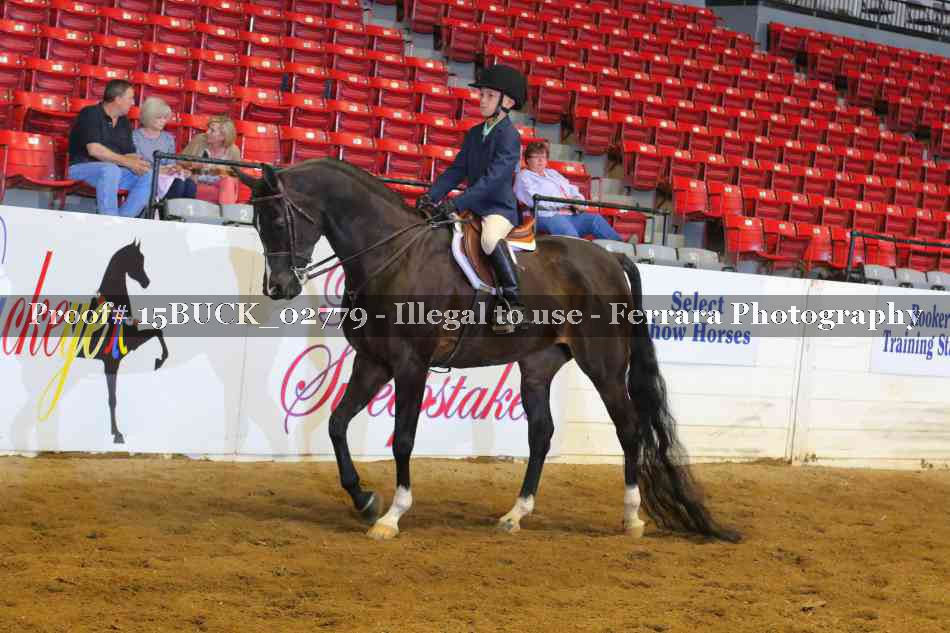 Proof 15BUCK_02779