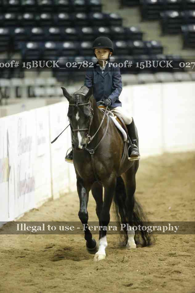 Proof 15BUCK_02782