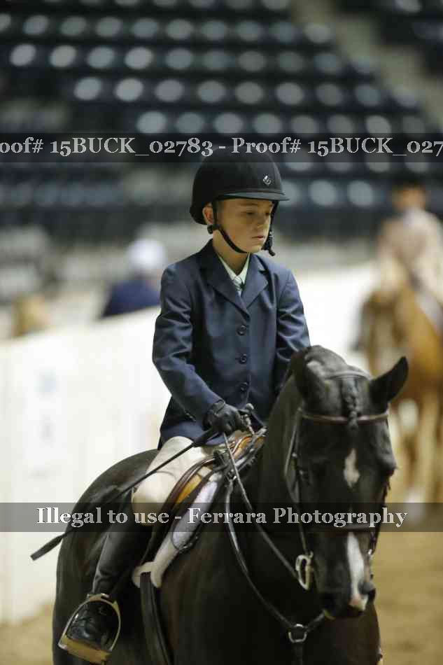 Proof 15BUCK_02783