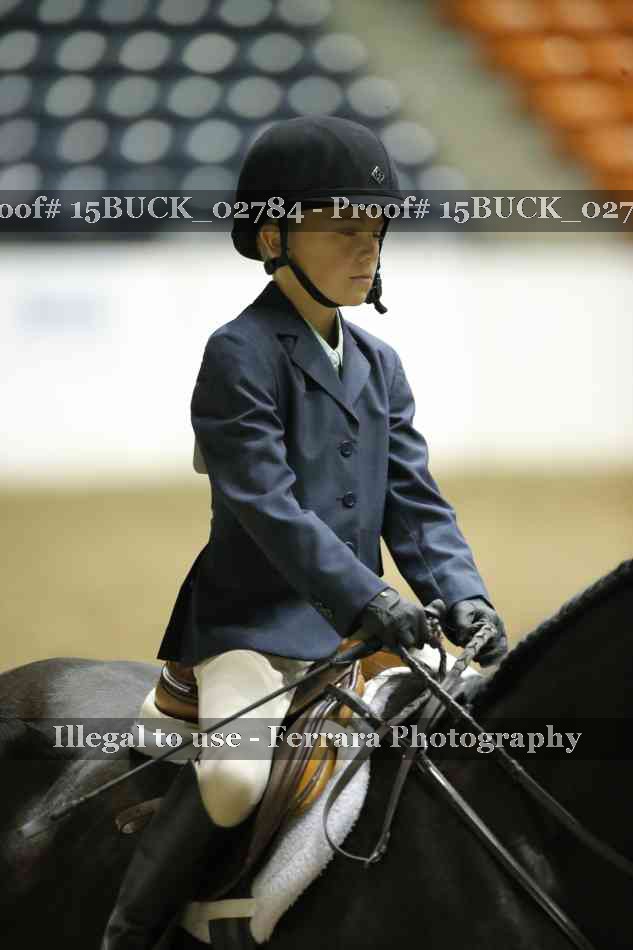 Proof 15BUCK_02784