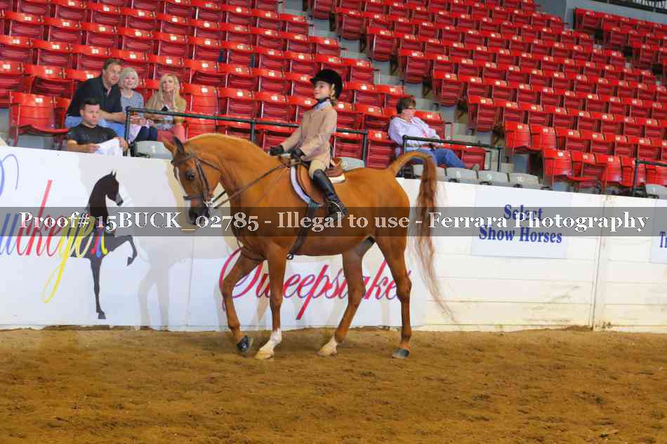 Proof 15BUCK_02785