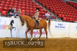 15BUCK_02785 proof