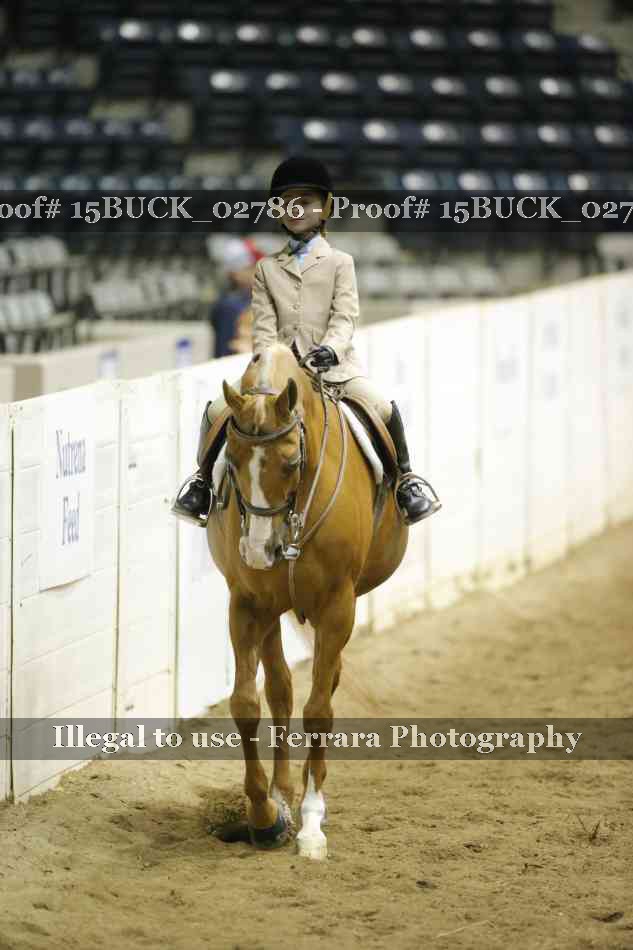 Proof 15BUCK_02786