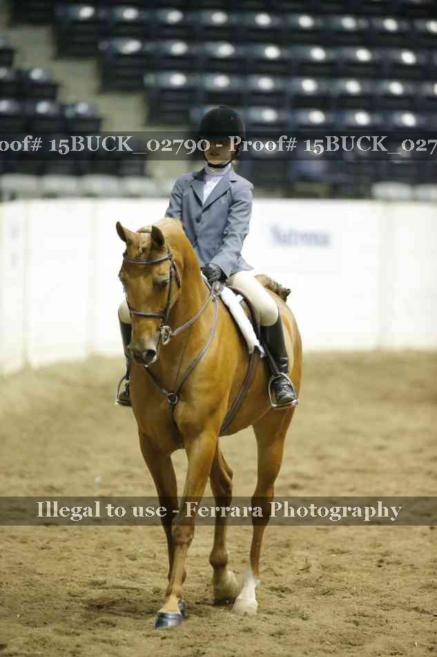 Proof 15BUCK_02790