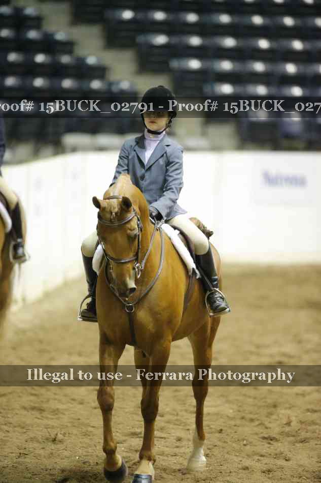 Proof 15BUCK_02791