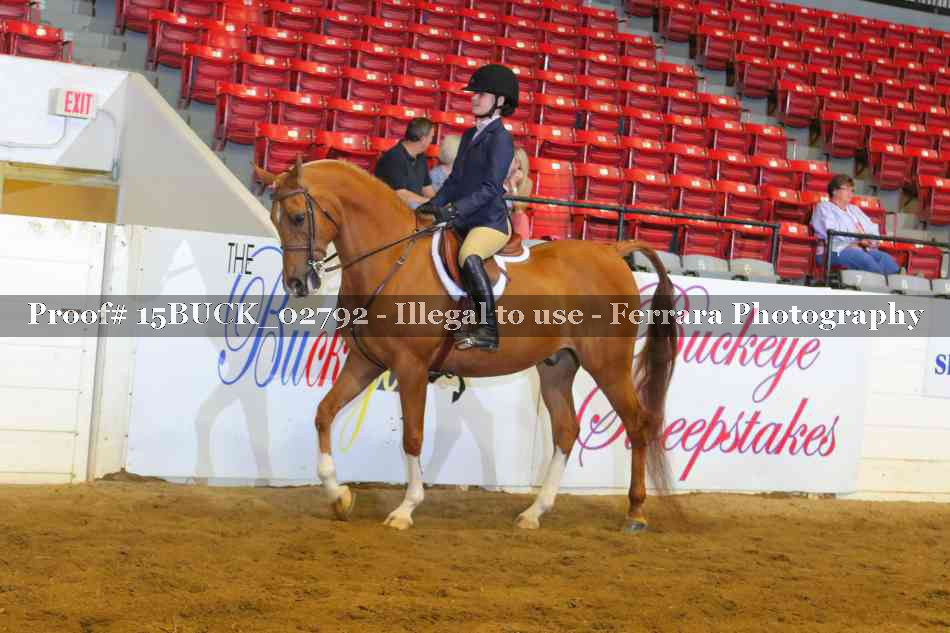 Proof 15BUCK_02792
