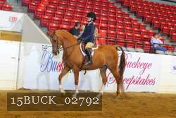 15BUCK_02792 proof