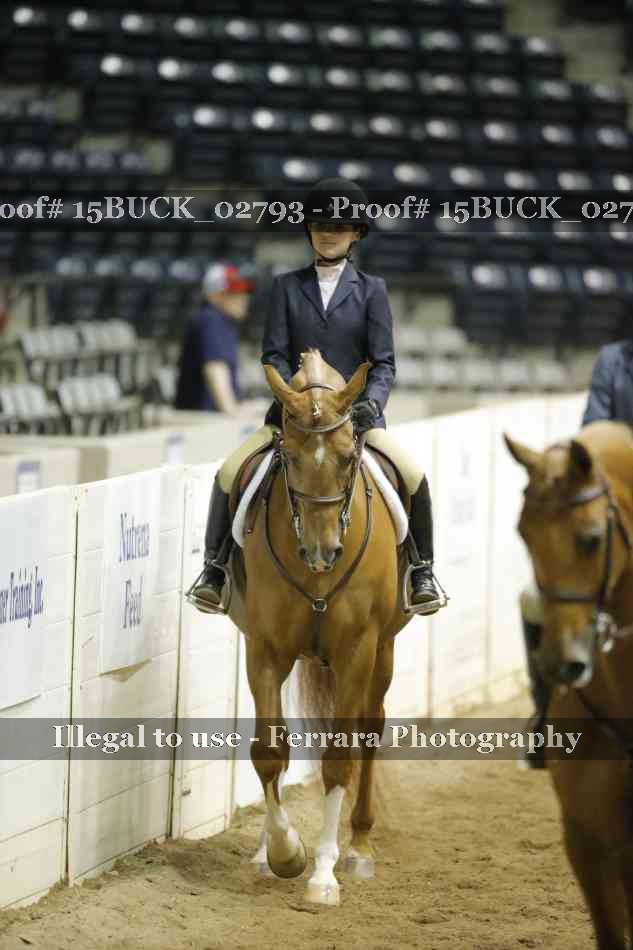 Proof 15BUCK_02793