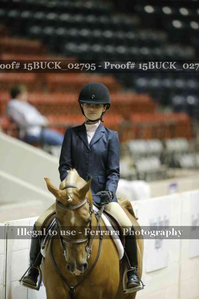 Proof 15BUCK_02795