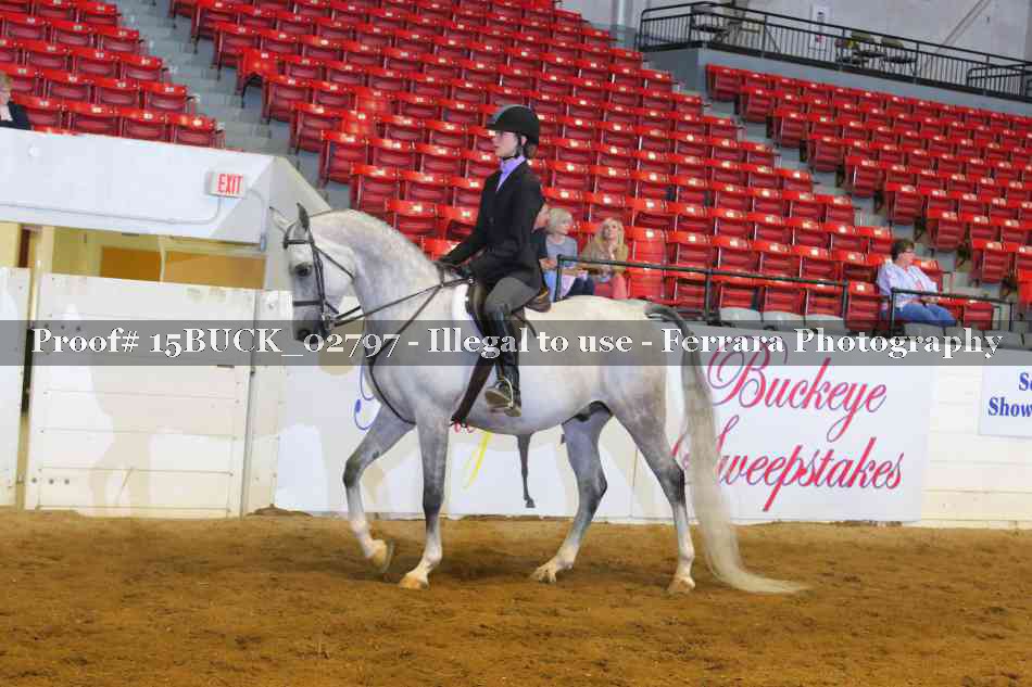 Proof 15BUCK_02797