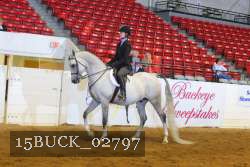 15BUCK_02797 proof