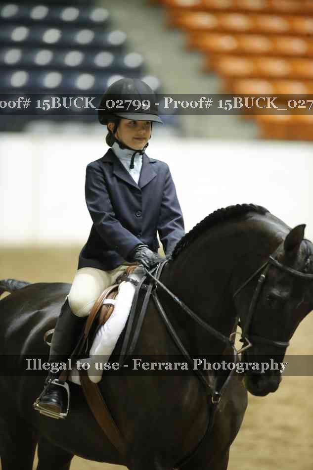 Proof 15BUCK_02799