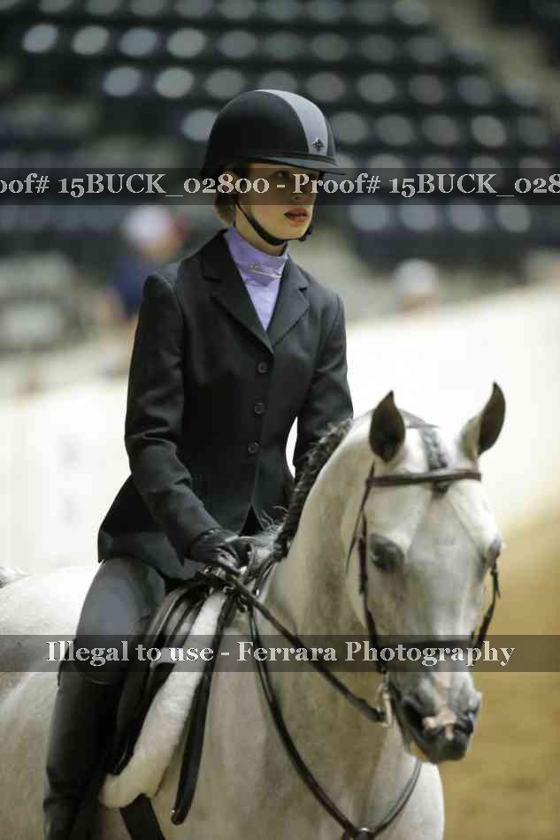 Proof 15BUCK_02800