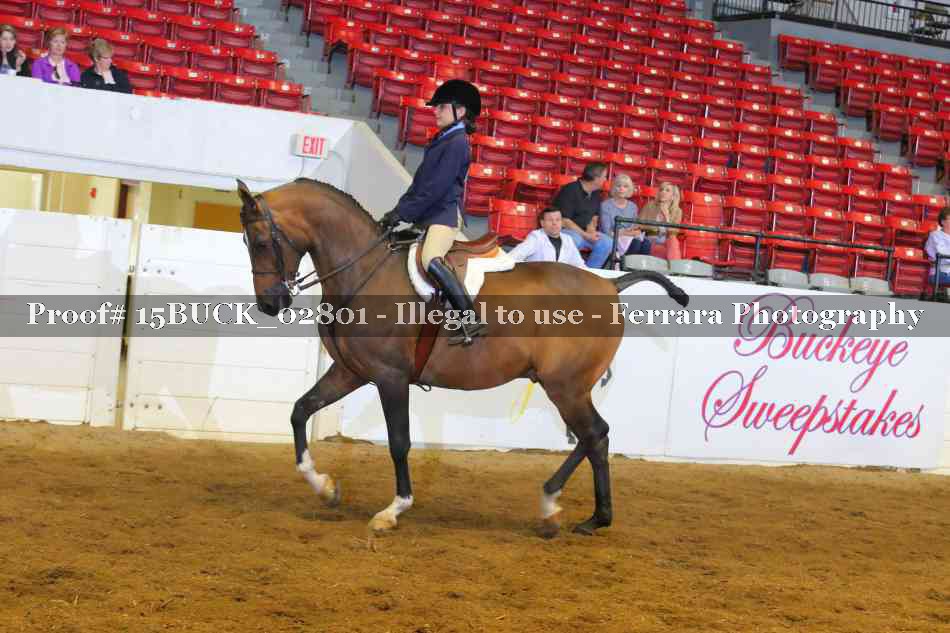 Proof 15BUCK_02801