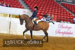15BUCK_02801 proof