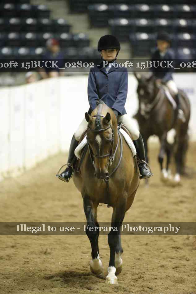 Proof 15BUCK_02802