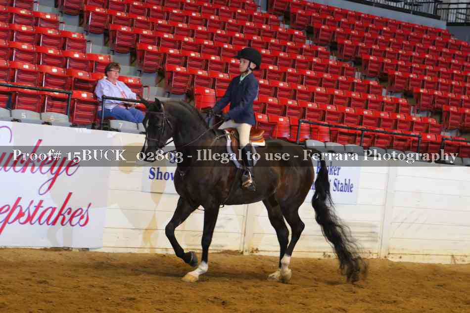 Proof 15BUCK_02803