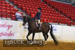 15BUCK_02803 proof