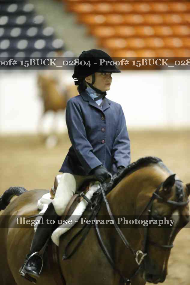 Proof 15BUCK_02804