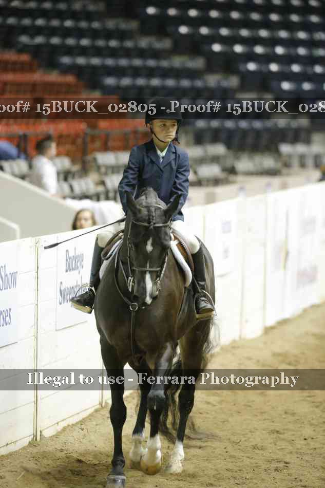 Proof 15BUCK_02805
