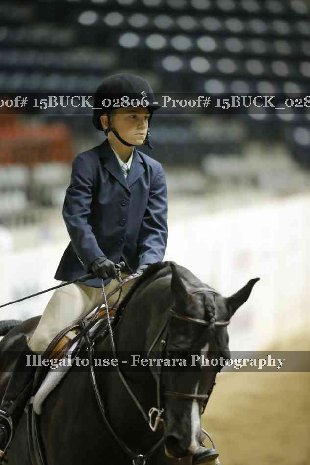 Proof 15BUCK_02806
