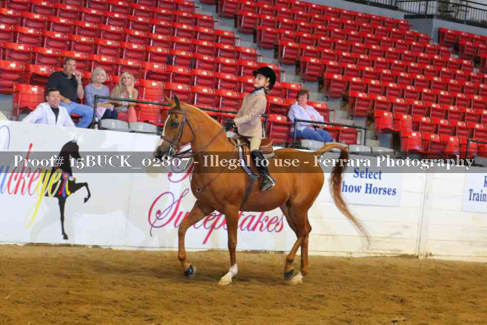 Proof 15BUCK_02807