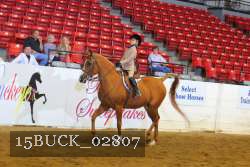 15BUCK_02807 proof