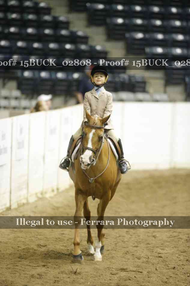 Proof 15BUCK_02808