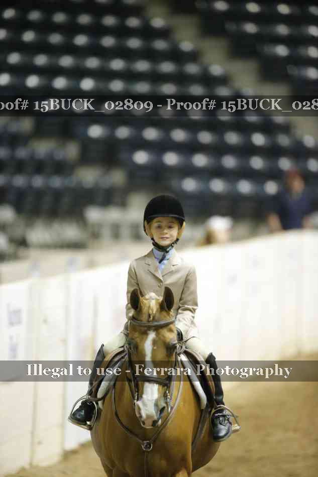 Proof 15BUCK_02809
