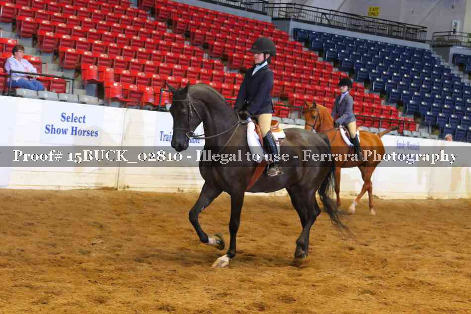 Proof 15BUCK_02810