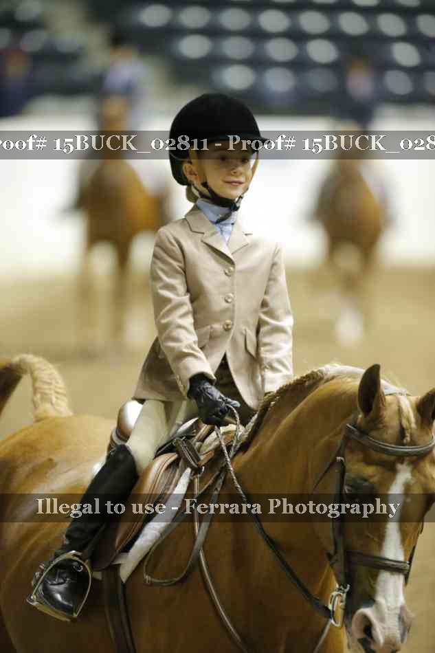 Proof 15BUCK_02811