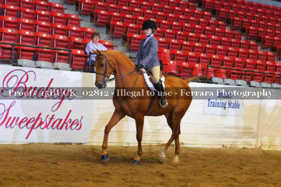Proof 15BUCK_02812