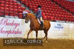 15BUCK_02812 proof