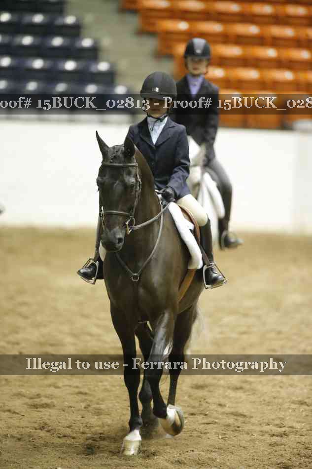 Proof 15BUCK_02813