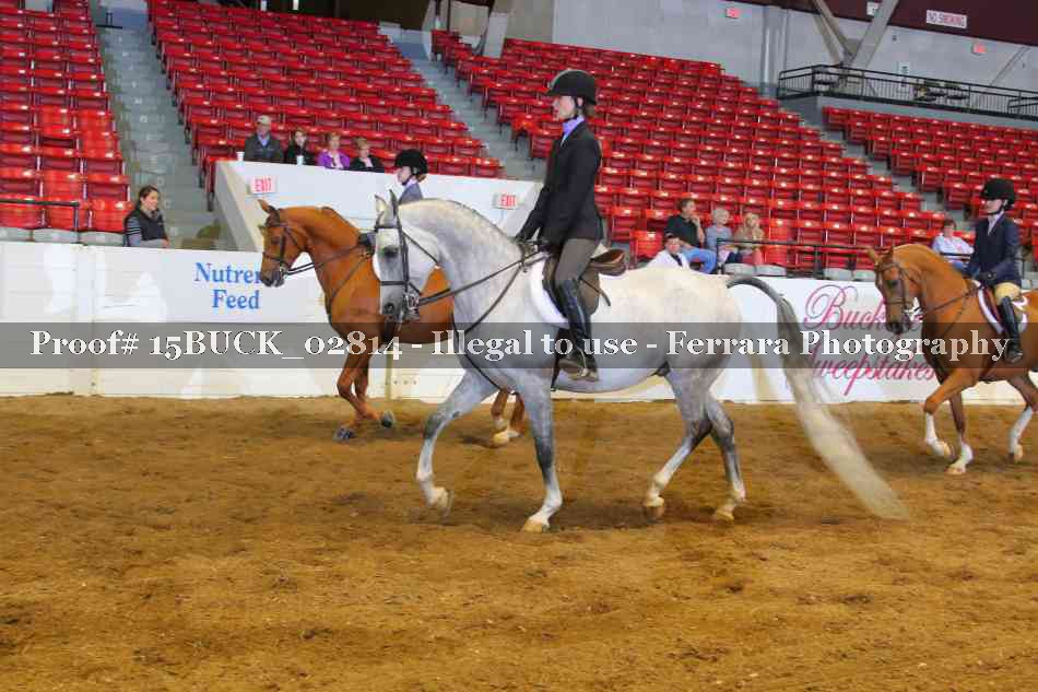 Proof 15BUCK_02814
