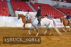 15BUCK_02814 proof