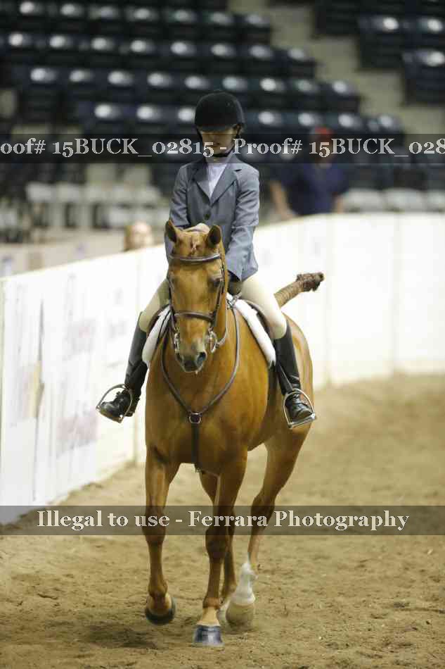 Proof 15BUCK_02815